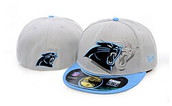 Panthers fitted hat
