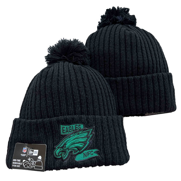 Philadelphia Eagles Knit Hats 0104