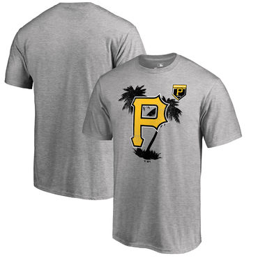 Pittsburgh Pirates Fanatics Branded 2018 MLB Spring Training Vintage T Shirt Heather Gray Pittsburgh Pirates Fanatics Branded 2018 MLB Spring Training Vintage T Shirt Heather Gray
