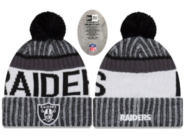 Raiders Team Logo Knit Hat
