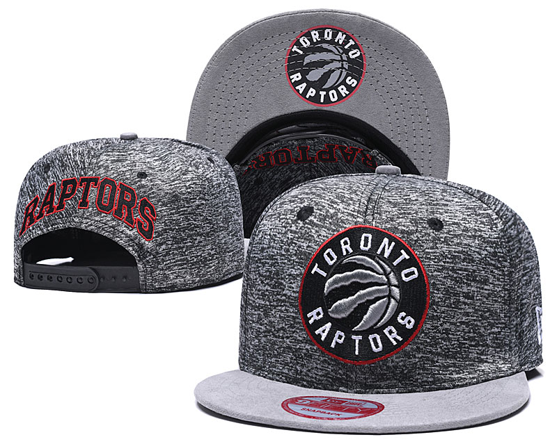 Raptors Team Logo Gray Adjustable Hat TX