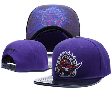 Raptors Team Logo Purple Mitchell & Ness Adjustable Hat LH