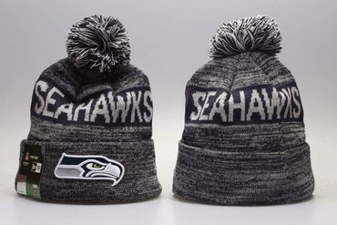 Seahawks Team Logo Gray Winter Knit Hat YP