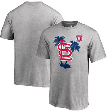 St. Louis Cardinals Fanatics Branded 2018 MLB Spring Training Vintage T Shirt Heather Gray St. Louis Cardinals Fanatics Branded 2018 MLB Spring Training Vintage T Shirt Heather Gray
