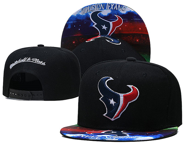 Texans Team Logos Adjustable Hat XLH