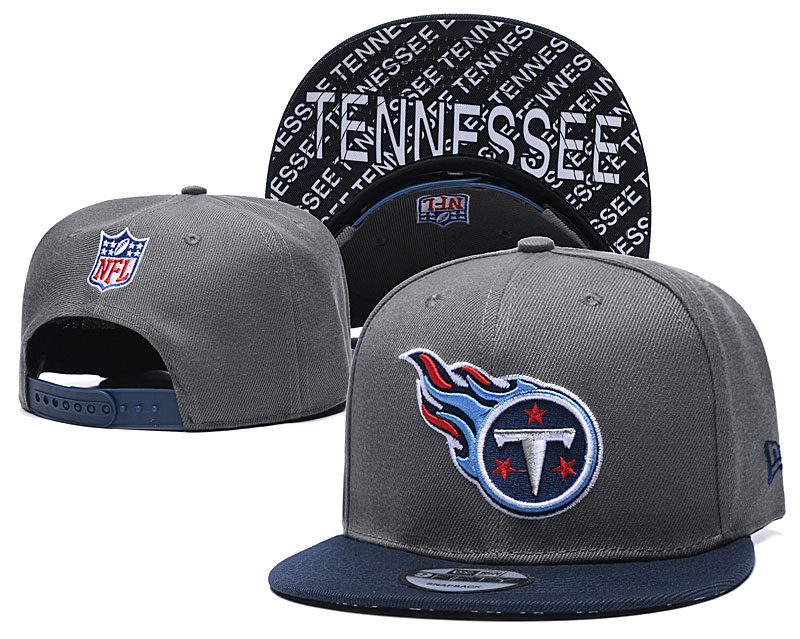 Titans Team Logo Gray Navy Adjustable Hat TX
