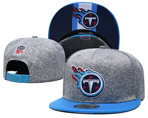 Titans Team Logos Adjustable Gray Hat GS