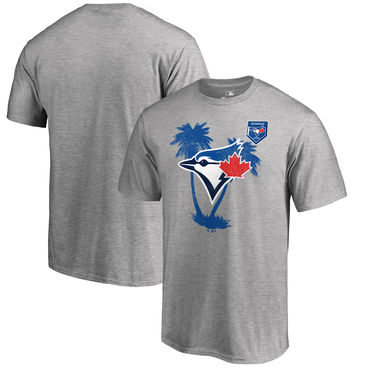 Toronto Blue Jays Fanatics Branded 2018 MLB Spring Training Vintage T Shirt Heather Gray Toronto Blue Jays Fanatics Branded 2018 MLB Spring Training Vintage T Shirt Heather Gray