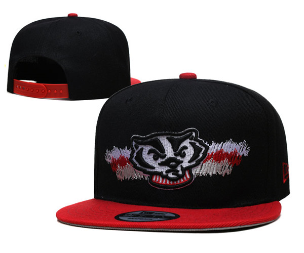 Wisconsin Badgers Stitched Snapback Hats 004 Wisconsin Badgers Stitched Snapback Hats 004