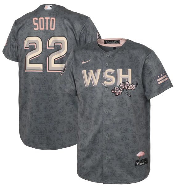 Youth Washington Nationals #22 Juan Soto 2022 Grey City Connect Cherry Blossom Stitched Baseball Jersey Youth Washington Nationals #22 Juan Soto 2022 Grey City Connect Cherry Blossom Stitched Baseball Jersey