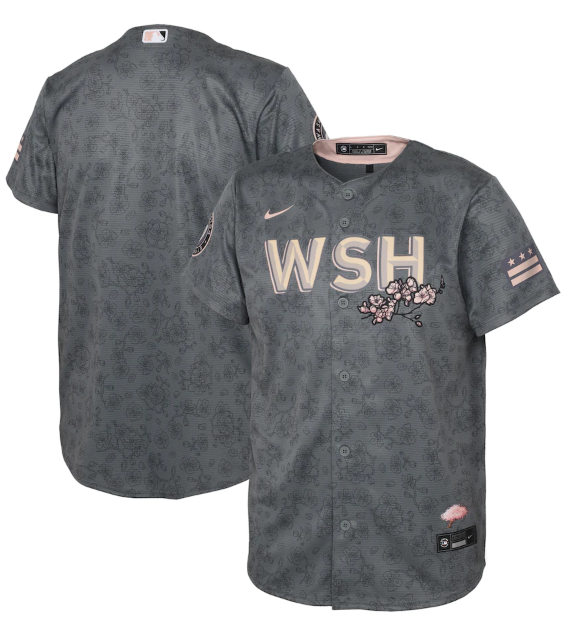 Youth Washington Nationals Blank 2022 Grey City Connect Cherry Blossom Stitched Baseball Jersey Youth Washington Nationals Blank 2022 Grey City Connect Cherry Blossom Stitched Baseball Jersey