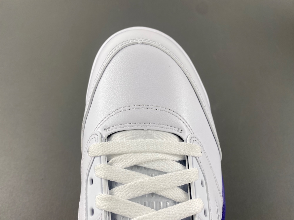 Air Jordan 5 Retro Grape (2025) Men