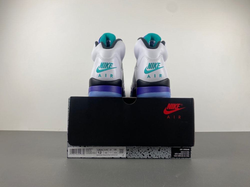 Air Jordan 5 Retro Grape (2025) Men