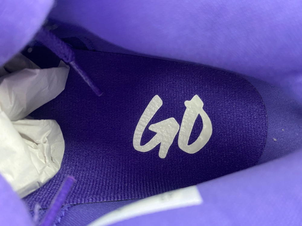 Nigel Sylvester x Air Jordan 4 RETRO OG SP HF4340-500