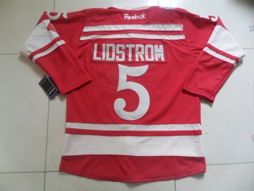 nhl jerseys detroit red wings #5 lidstrom red(2014 winter classic)