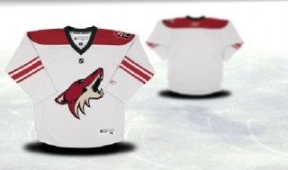 phoenix coyotes youth white jersey (blank or customized) phoenix coyotes youth white jersey (blank or customized)
